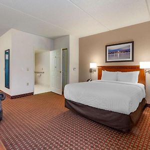 Queen Suite Roll Shower Accessible or Non-Smoking
